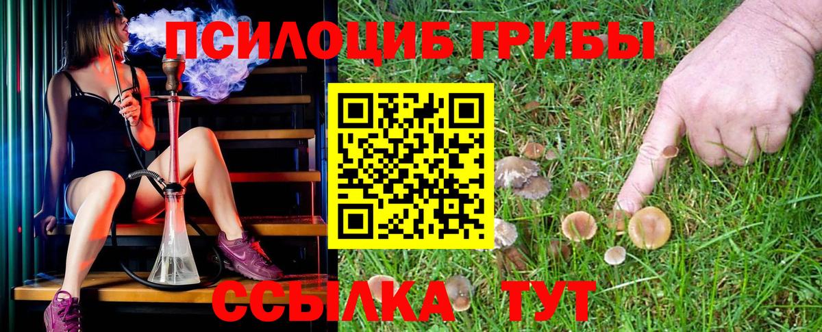 Псилоцибиновые грибы Psilocybe  Вход с VPN  Галлюциногенные грибы GOLDEN TEACHER  Ачхой-Мартан 