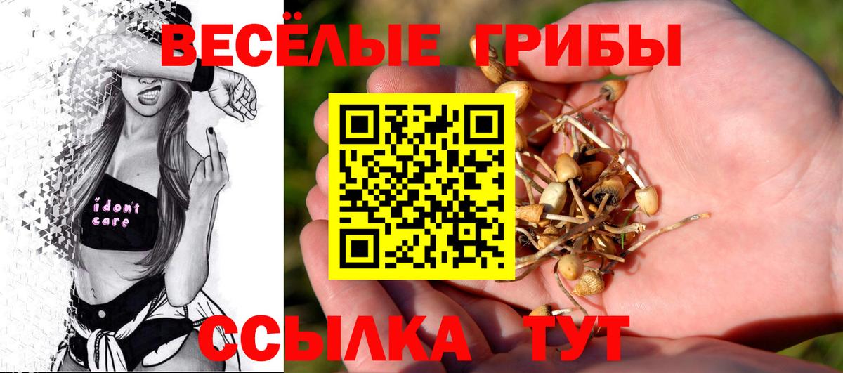 Псилоцибиновые грибы Psilocybine cubensis Ачхой-Мартан